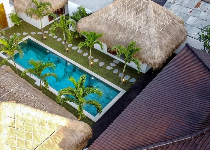 Cocotier By Alfred In Bali