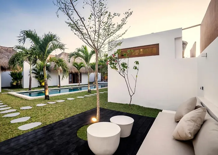 Cocotier By Alfred In Bali *