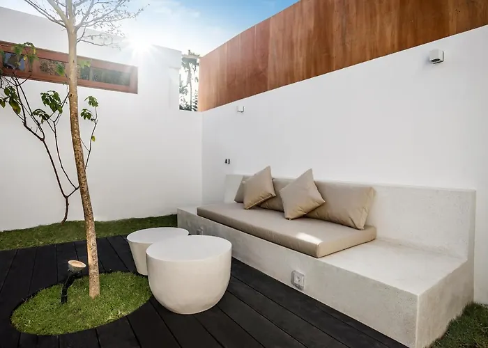 Cocotier By Alfred In Bali