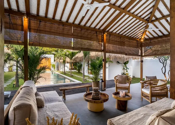 Cocotier By Alfred In Bali